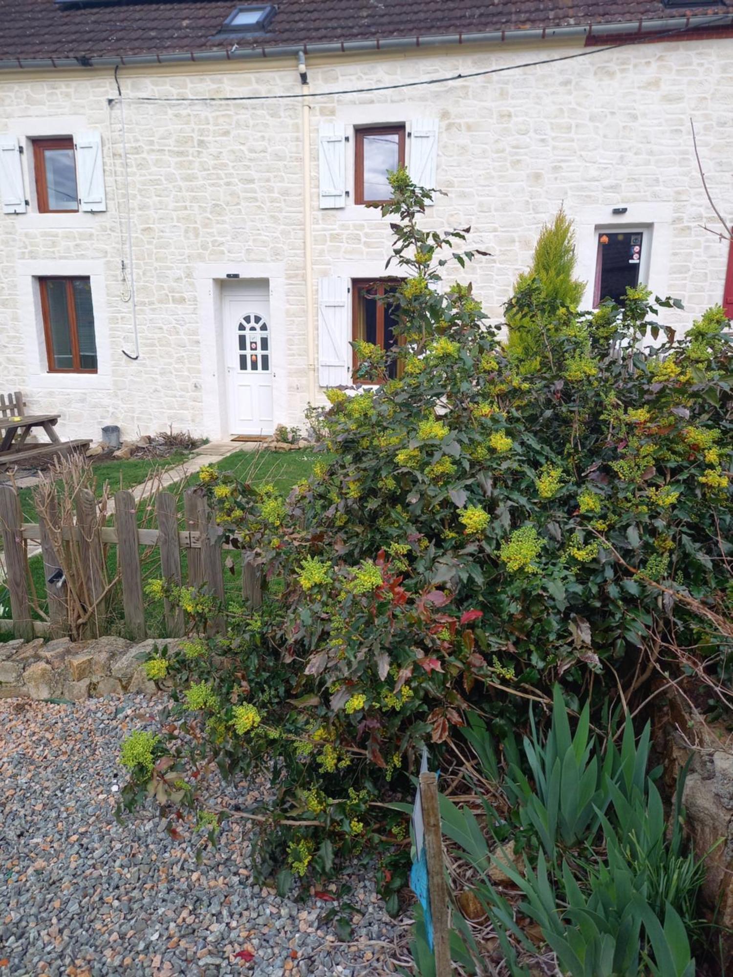 Les Papillons Villa Vrolle Exterior photo